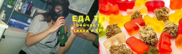 ПСИЛОЦИБИНОВЫЕ ГРИБЫ Горно-Алтайск