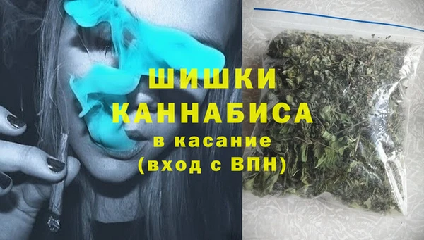 ПСИЛОЦИБИНОВЫЕ ГРИБЫ Горно-Алтайск