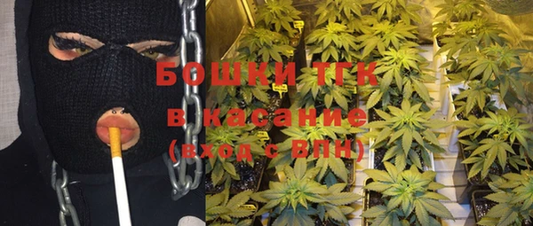 СК Вяземский