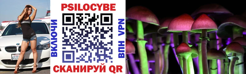 Галлюциногенные грибы прущие грибы Дербент